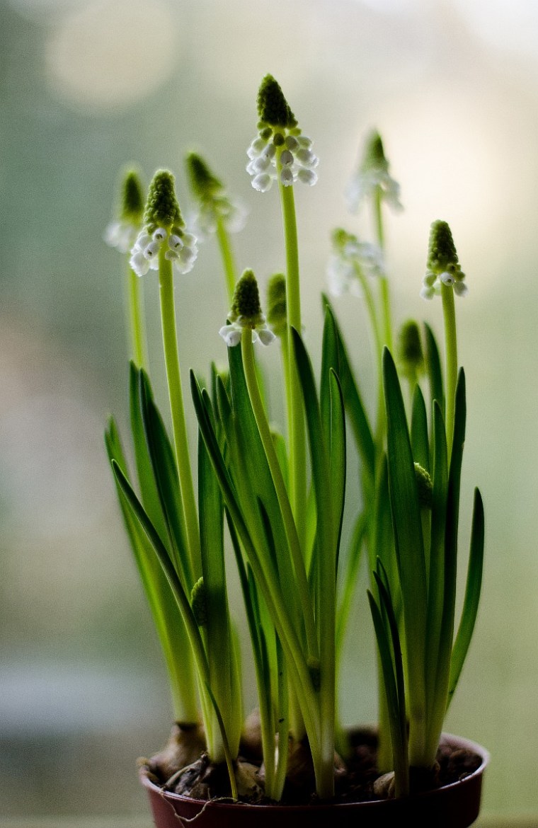 Tony Hofmann, Sinnbild 74