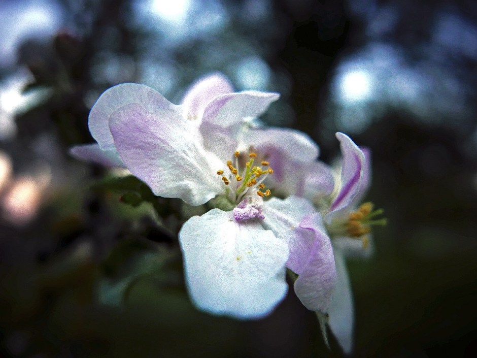 Tony Hofmann, Sinnbild 213