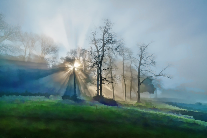 Licht strahlt durch Bäume